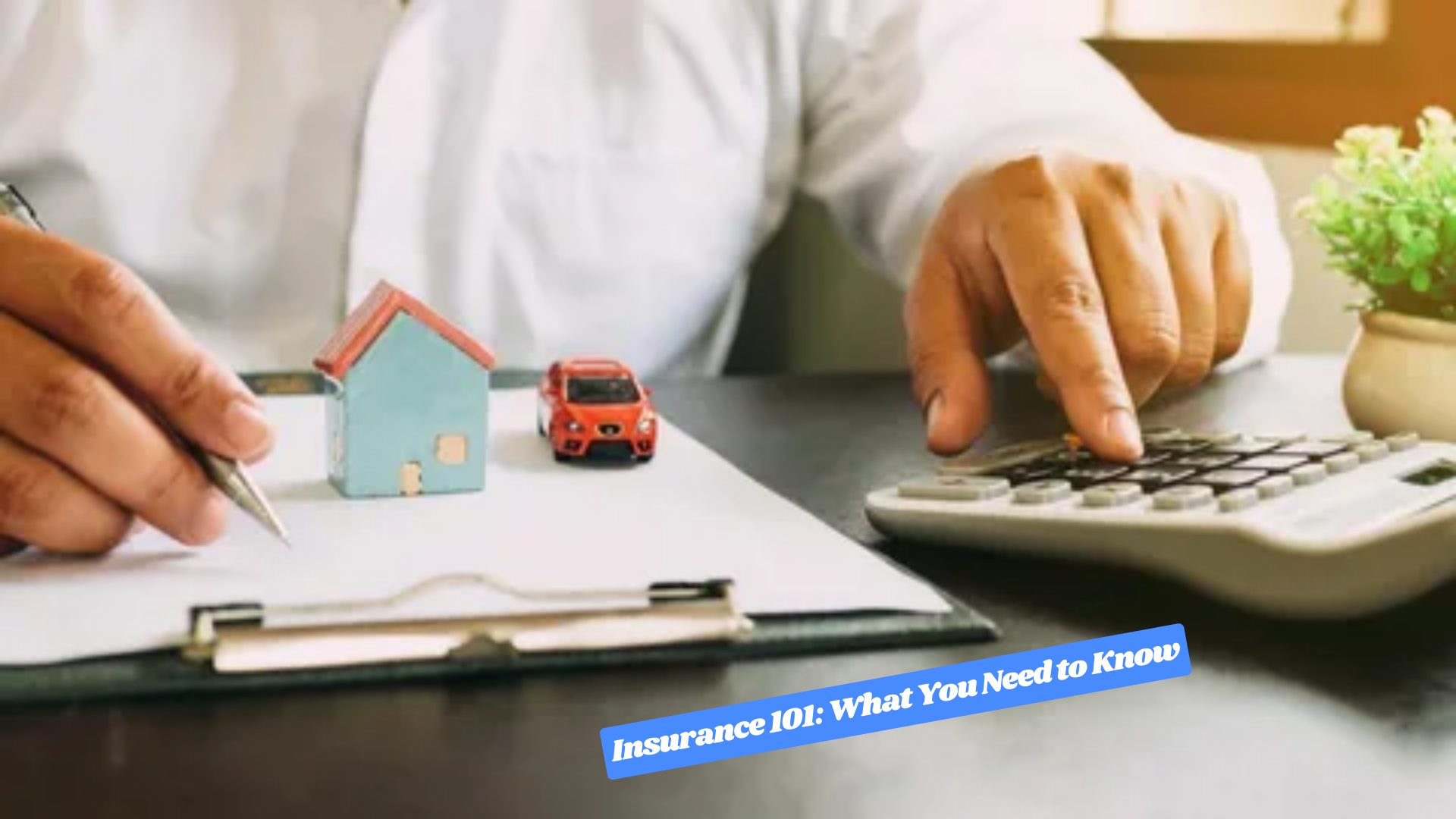 Insurance 101 What You Need to Know