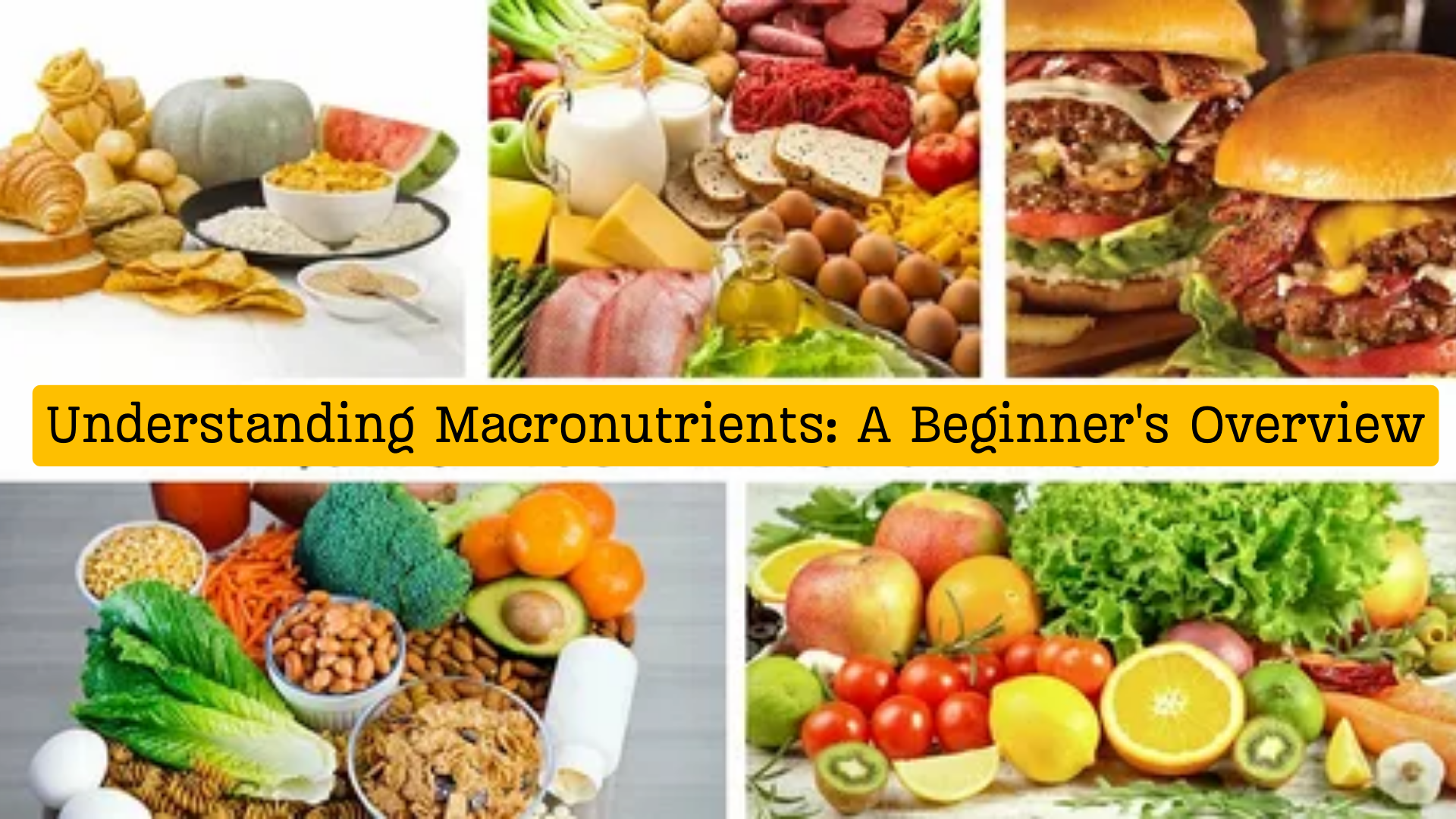 Understanding Macronutrients A Beginner's Overview